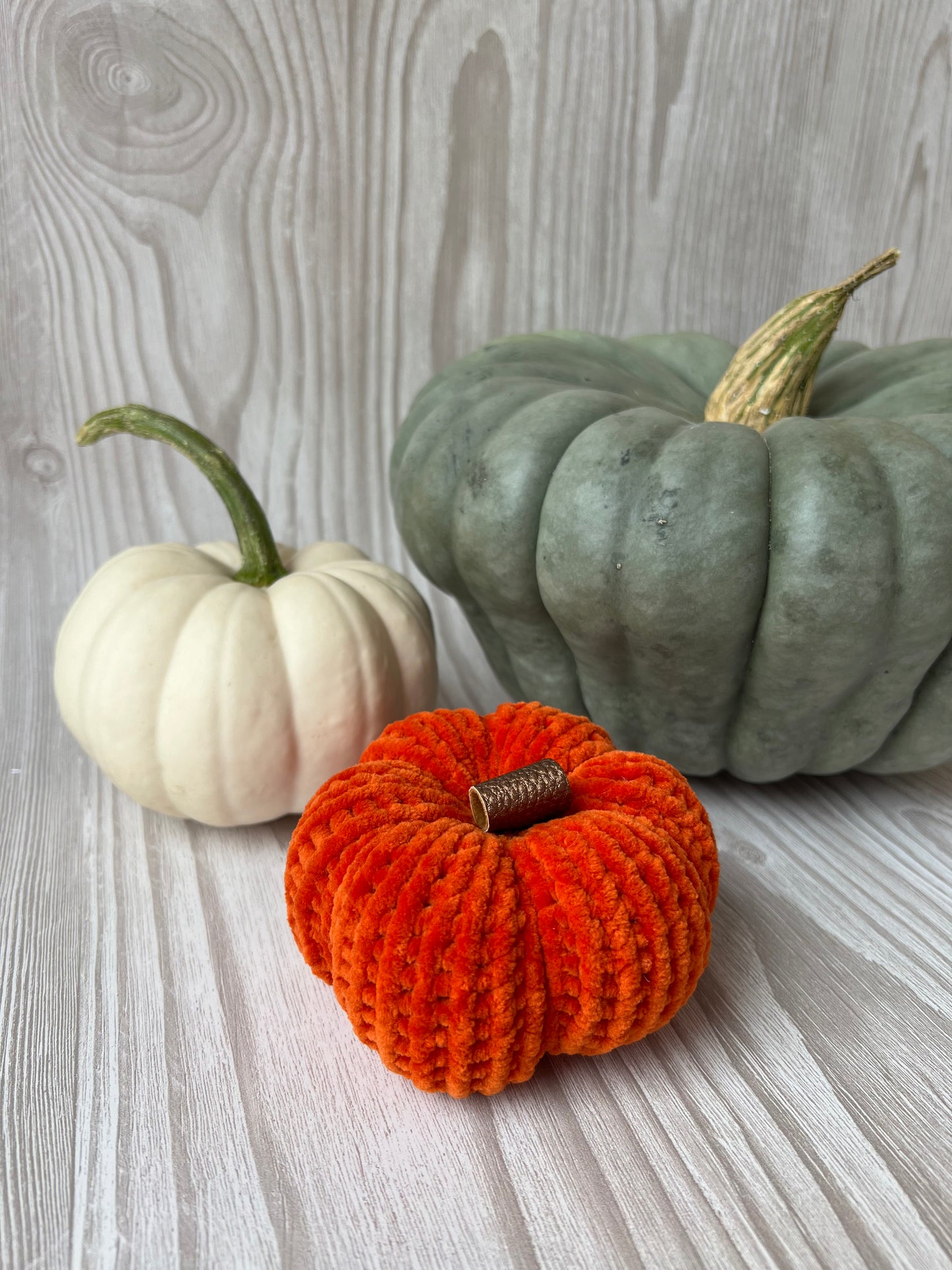 Mini Velvet Pumpkin - Choose your Colour!